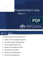 Com 323 Programming in Java Week 01