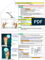 Teóricos de Anatomía 5