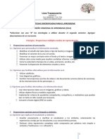 Pauta Con Estrategias DUA para Incorporar en Planificaciones