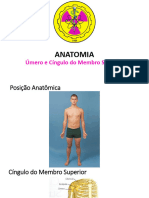 Aula Anatomia - Úmero e CMS