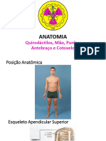 Aula Anatomia - Mmss