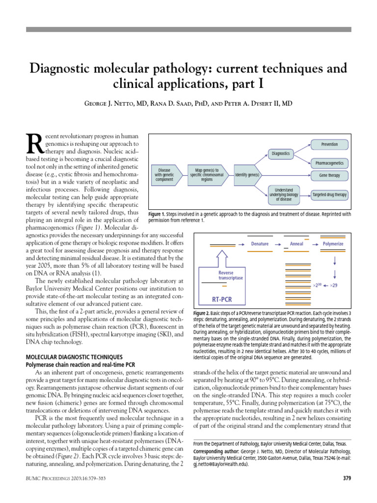 DIAGNOSTIC TECHNIQUES USED IN PATHOLOGY PDF intelligence overview