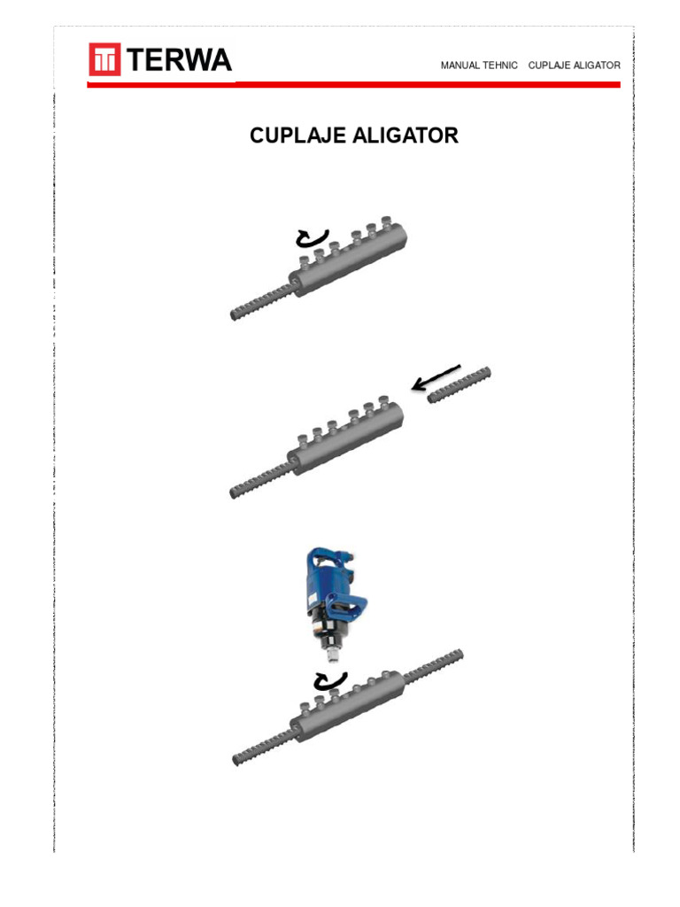Alligator | PDF