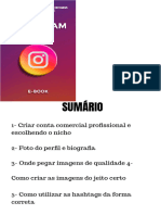 O Guia Completo Pra Voce Ganhar Dinheiro No Instagram PDF Free