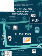 Exposición Funciones Del Calcio, Control Hormonal y Homeostasis - 20240306 - 225245 - 0000