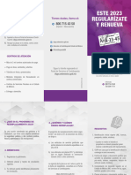 SOA J2ee Recaudacion Archivos Documentos PDF TripticoReemplaca