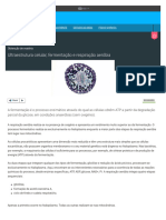 Ultraestrutura Celular, Fermentação e Respiração Aeróbia - RTP Ensina