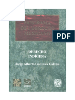 El Derecho Indigena - Jorge A Gonzalez Galvan