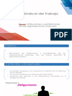 Atribuciones y Prohibiciones de Las Organizaciones Sindicales