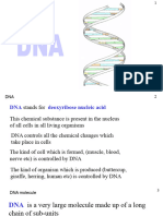 DNA Nucleicacids