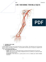 Vascularisation Du Membre Thoracique EM1-2023-2024