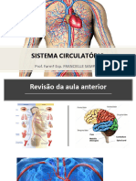 Aula 07 - Sistema Circulatório