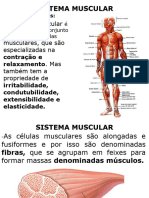 4sistema Muscular PDF (1)(1)