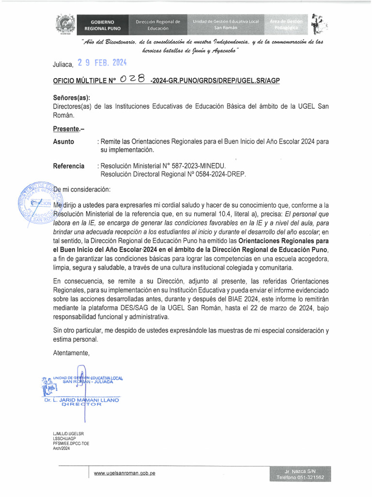 Ofic Mult 028 2024 Orientaciones BIAE | PDF