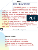 ORGANIZATIA Concepte de Management (1)