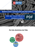 Morfologia e Estrutura Das Bactã Rias