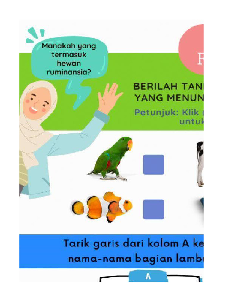 Ruminansia | PDF