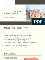 Cấu Tạo Và Chức Năng Của Da