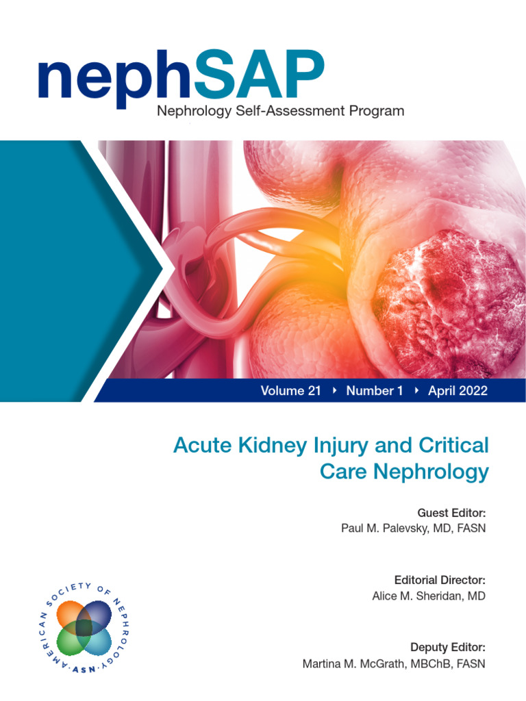ACUTE KIDNEY INJURY GUIDELINES 2022 PDF visual data 7