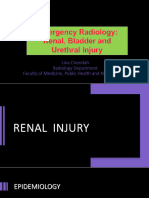 Emergency Radiology Urinary Tract - 240227 - 073849