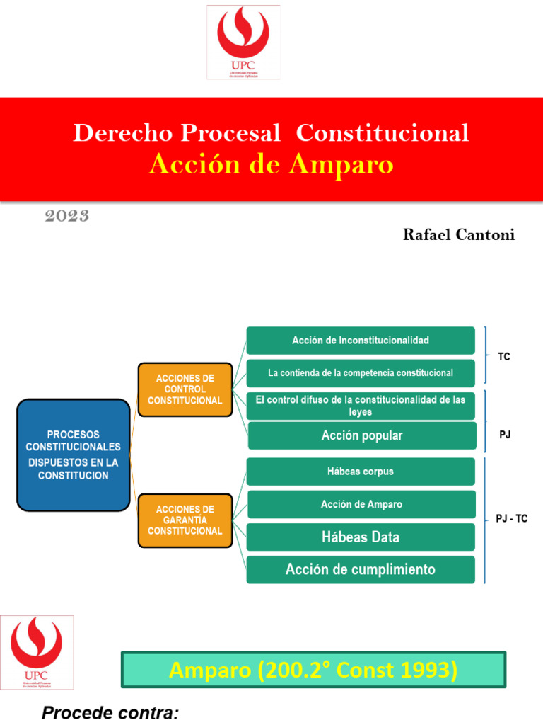 Acción de Amparo en Argentina | PDF | Habeas corpus | Derecho ...
