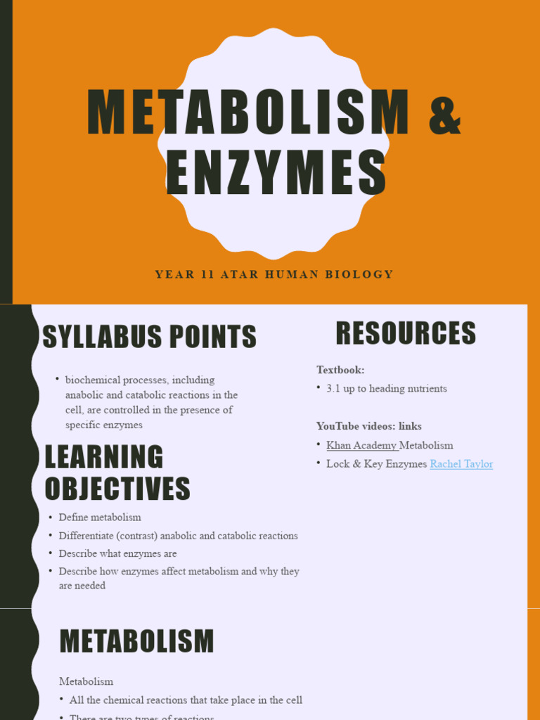 Metabolism and Enzymes | PDF | Enzyme | Metabolism