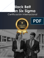 TEMARIO BB International Lean Six Sigma