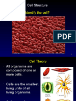 Cell Structure