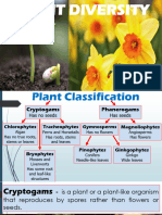 Plant Diversity 1