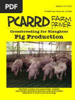 3 - Crossbreding For Slaughter Pig Production - Beta - 355450