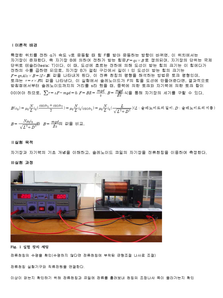 전류천칭 | PDF
