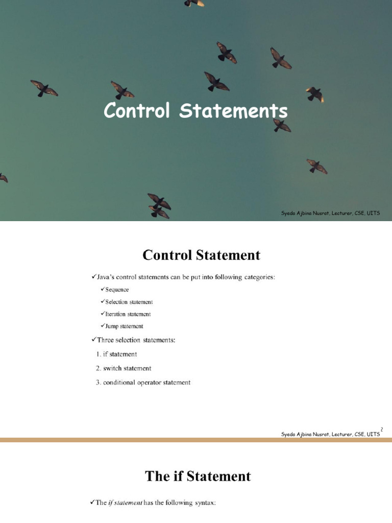 5.control Statements | PDF