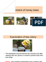 Management of Bees
