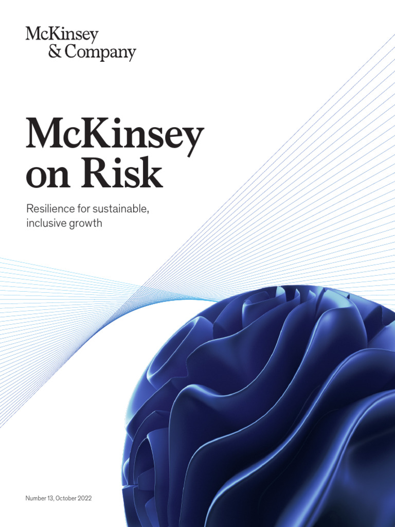 Mckinsey On Risk Number 13 | PDF