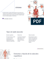 Introduccion Al Sistema Muscular