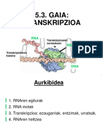 5 3gaia-Transkripzioa