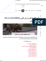 شركة مكافحة الفئران في العين 01114323865 مكافحة القوارض - Dubai Bugs