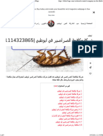 شركة مكافحة الصراصير في ابوظبي 01114323865 - Dubai Bugs