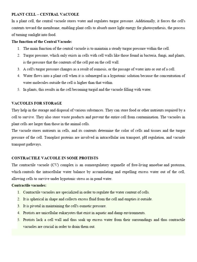 VACUOLE | PDF