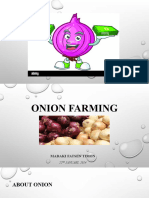 Onions Farming Best