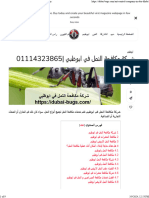 شركة مكافحة النمل في ابوظبي 01114323865 - Dubai Bugs