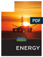 Dms Energy Brochure