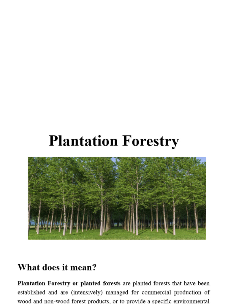 Plantation FSTI | PDF | Soil | Fertilizer