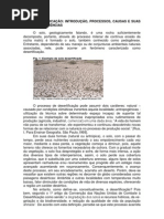 O processo de desertificação pode assumir dois caráteres