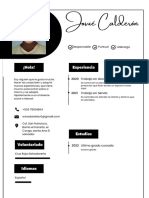 Currículum Profesional CV Director de Marketing Digital Minimalista Blanco y Negro
