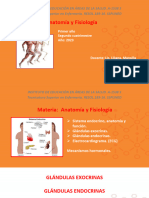 Anatomia y Fisiología. Glandulas - ECG