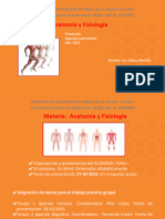 Anatomia y Fisiología. Mecanismo Hormonal - TP