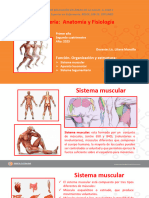 Anatomia y Fisiología. Clase Estructura Osea y Piel