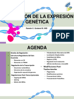 Tema 6 Regulación de La Expresión