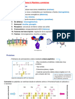 Tema 6 - Proteínas - 2023 - 2024